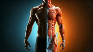 Related Stories banner