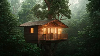 This Hidden Coorg Treehouse Stay Is Pure Magic