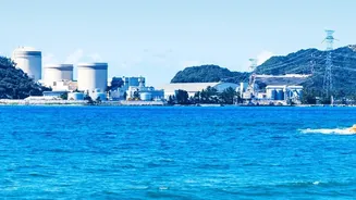 IAEA Nuclear Power Projection Notes Nuclear Supplied About A Tenth Of Electricity In 2025