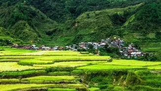 India’s El Niño Preparations Focus On Water Conservation And Crop Choices