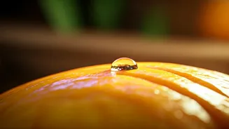 Roadside Fruit Stalls Carrying Dangerous Gastrointestinal Waterborne Bugs