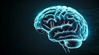 Meta's Brain-To-Text Model Learns From More Training Data
