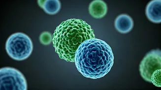 Exosomes for Skin: Rejuvenation Unveiled