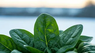 Healthy Habits: Staying Fit During Winter's Weight Gain