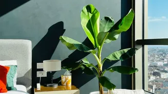Urban Flat Owners Deploy Thermo-Responsive Window Coatings To Cut Energy Bills