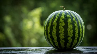 One Fruit Experts Trust During Humid Weather