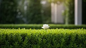 Alia & Ranbir: Reactions to Marriage Rumors