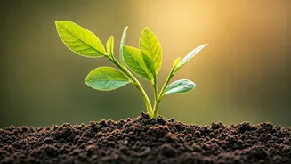 Sudha Murty's Wisdom: Marriage is Growing Together, Not Just Living Together