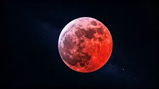 Related Stories banner