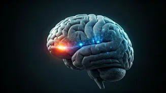 Sleep's Secret: Your Brain's Automatic Save Function for Memories