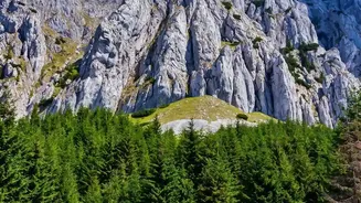 The Deo Tibba Trek Moves from Cedar Forests to Open Alpine Country