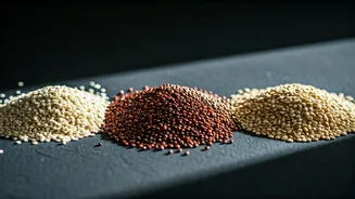 Fullness Is Making Fibre Cool Again