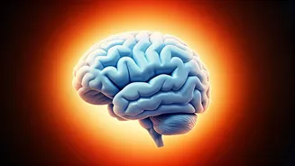 Summer Heat Alert: Understanding Stroke Risks as Temperatures Hit 40°C & Beyond