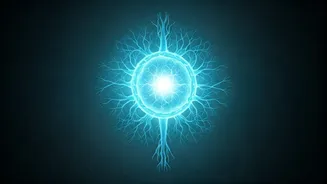 Understanding Common Health Conditions: A Comprehensive Guide