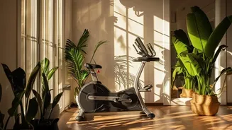 Even Sunlight For Potted Plants Gives Different Leaves A Turn Facing The Window