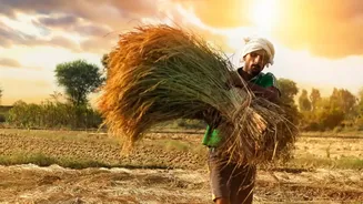 India's Weakest Monsoon Since 2015 Could Pressure Food Supplies