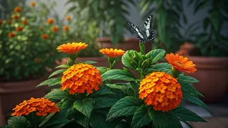 Attract Butterflies: 5 Vibrant Native Flowers for Indian City Gardens