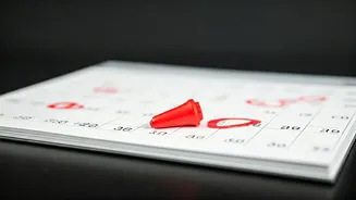 Freelance Money Needs Calendar-Level Discipline