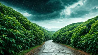 Kerala Looks Gorgeous, But Travel Smart This Monsoon