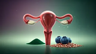 Related Stories banner