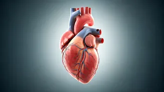 5 Science-Backed Ways to Boost Your Heart Health
