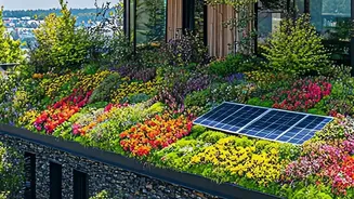 Why Cool-Roof Terrace Upgrades Are Winning Praise For Cutting Urban Heat Island Stress