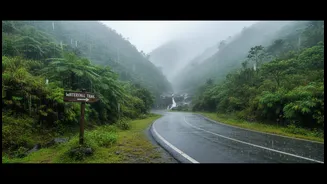 The Best Monsoon Breaks Balance Scenic Drives With Safer Local Activities