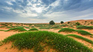 Thar Desert Travel Still Works In Monsoon