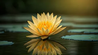 Unlock Your Potential: The Power of Self-Love with Robin Sharma