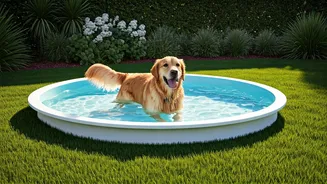 Premium Cage-Free Pet Boardings With Splash Pools Hit Record Bookings