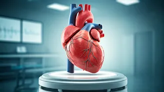 Heart Health Risks: Proven Prevention Tips