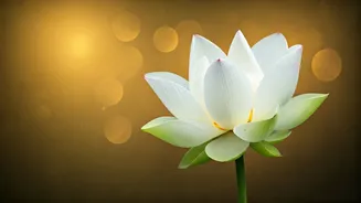 Bhagavad Gita's Wisdom: Purifying the Self Through Yajna