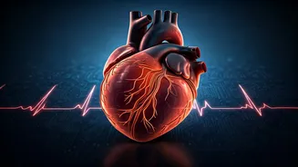 Decoding Critical Illness Insurance: What's Covered, What's Not, and How You Get Paid