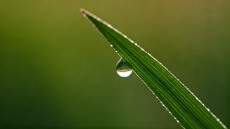 Master Your Wandering Mind: Bhagavad Gita's Guide to Present Moment Focus