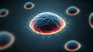 Unlock Your Body's Repair System: The Science Behind a 7-Hour Sleep Cycle