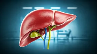 5 Powerful Exercises to Reverse Fatty Liver Disease