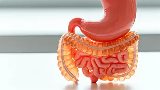 Follow These Breakfast Rules For A Healthy Gut
