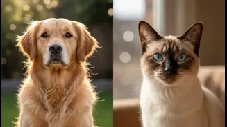 Pet Preferences May Reflect Different Stress-Relief Experiences, Study Suggests