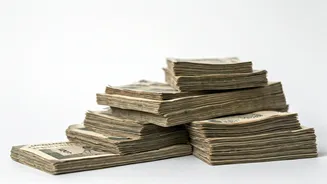 Boosting Income: Can the New Tax Regime Help?