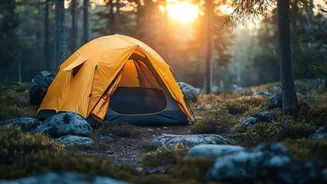 Related Stories banner