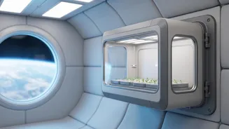 ISRO-AIIMS Collaboration: What Space Medicine Research Could Teach Doctors On Earth
