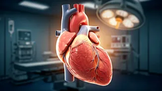 5 Heart-Healthy Habits From A Cardiac Surgeon