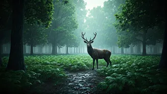 Monsoon Is A Break For Wildlife Too