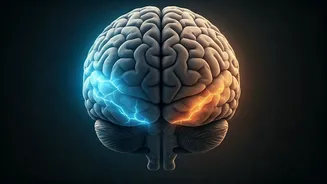 Seizure Triggers Unveiled: How Sleep Loss & Stress Quietly Impact Your Brain