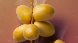 Seasonal Fruits To Watch For As Shravan Brings Monsoon Harvests