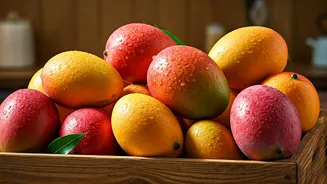 The Great Indian Mango Adventure Begins