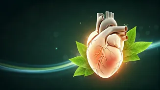 10 Essential Daily Habits for a Robust and Healthy Heart