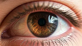 Diabetes and Your Eyes: Decoding Early Signs, Risks, and Prevention for Clearer Vision