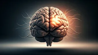 Beyond the Scale: Mounjaro's Emotional Toll and the Weight of Desire