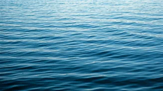 Nick Jonas & Social Anxiety: Understanding & Coping